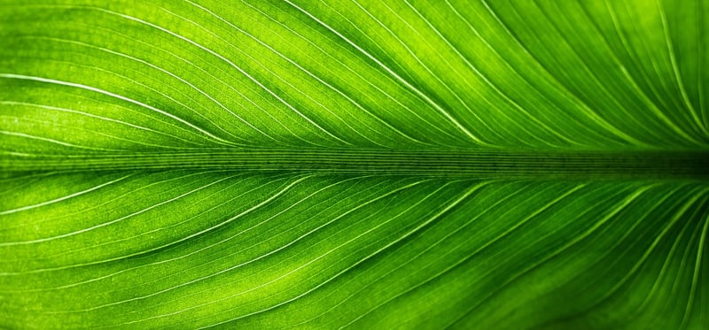 Eco-Friendly Crafting